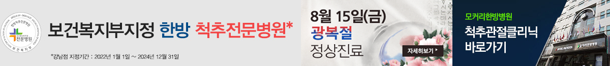 광복절 진료안내